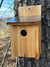 Bluebird Houses