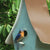 Male eastern bluebird sitting on perch on the front of a bluebird house ready to go inside house Michael's Woodcrafts Woodworkers Greenville SC